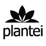 Plantei