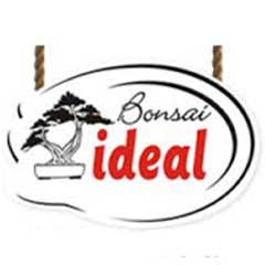 Ideal Bonsai