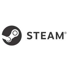 Steam